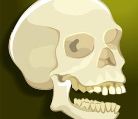 can a dentist treat tmj