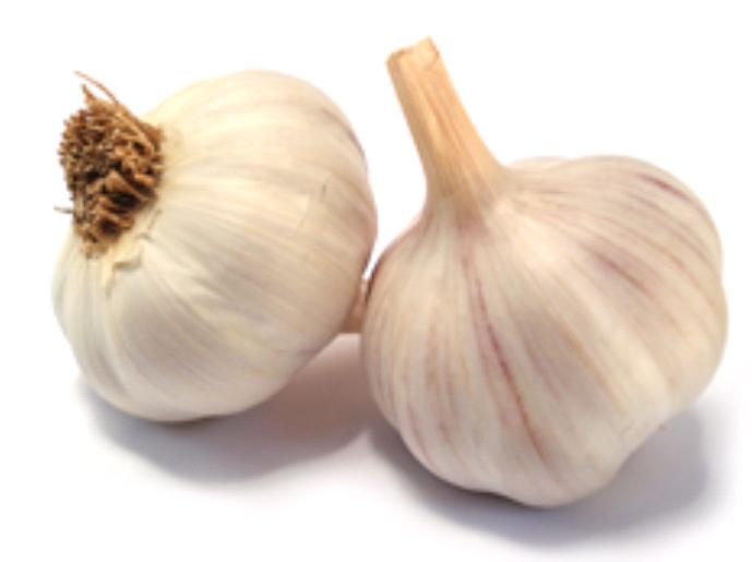 Causes of Bad Breath Garlic