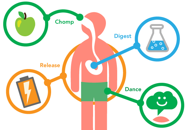 How Does Metabolism Work