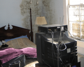 indoor bedroom mold