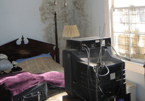 indoor bedroom mold