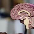 Breakthrough in Alzheimer’s Research: Early Detection Through Innovative Blood Testing