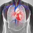 Breaking Free from Heart Disease: FAQs and Solutions