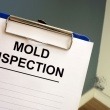 How Home Caregivers Can Help Identify Mold Exposure in Seniors