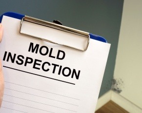 how home caregivers can help seniors with mold exposure