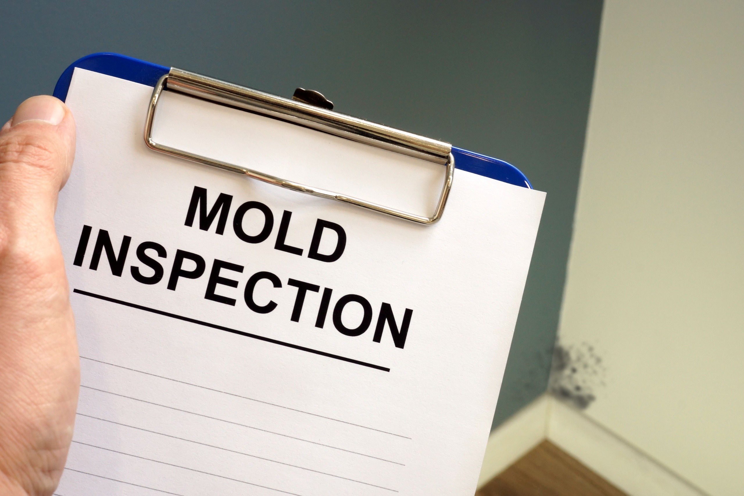 how home caregivers can help seniors with mold exposure
