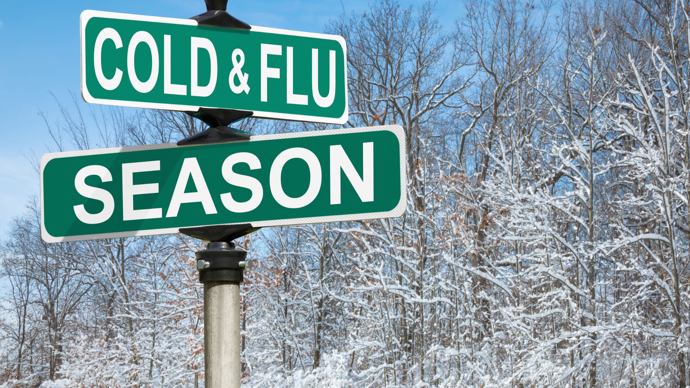 flu and cold