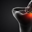 A Holistic Approach to Chronic Inflammation: What the Evidence Says