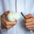 Hydrocephalus in Adults: What Causes Fluid Buildup and How It Is Treated