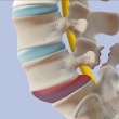 Spondylolysis vs Spondylolisthesis: How a Pars Fracture and Vertebral Slip Differ