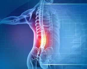 spine surgeon