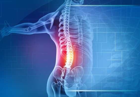 spine surgeon