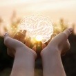 Brain AVM Symptoms: What They Are and When Treatment Is Needed