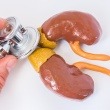 Is Adrenal Fatigue Real?