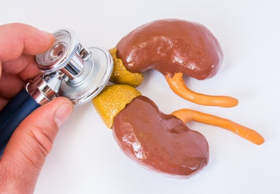 is adrenal fatigue real